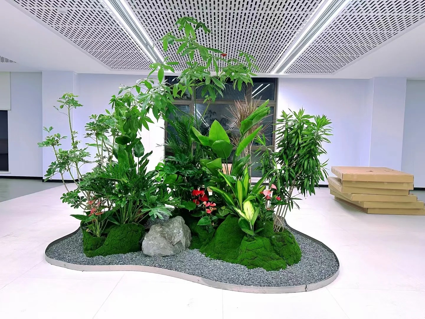 专业绿植出租服务，点亮宁波余姚每一处角落